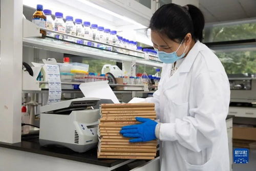 人造淀粉 生物科技顛覆農(nóng)業(yè)，開(kāi)啟糧食生產(chǎn)新紀(jì)元