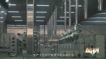 素之美味，海納百川 生物科技如何重塑未來(lái)飲食品質(zhì)